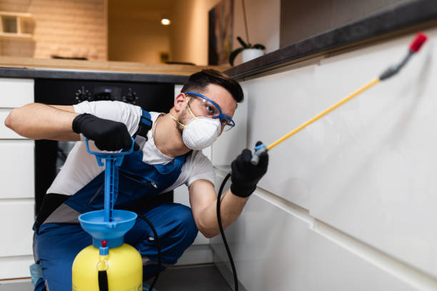 Best Mosquito Control Services  in Greenville, GA