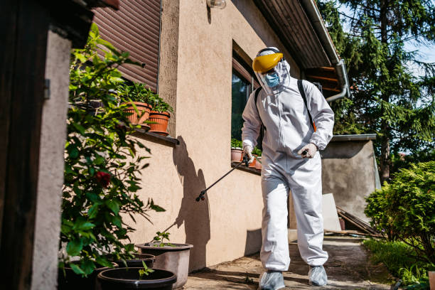 Best Affordable Pest Control Services  in Greenville, GA