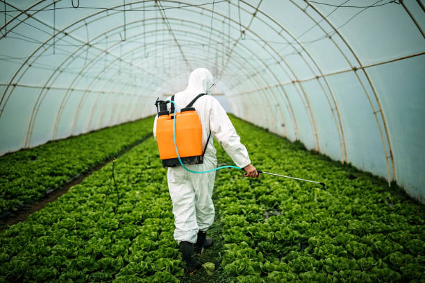 Pest Prevention Services in Greenville, GA