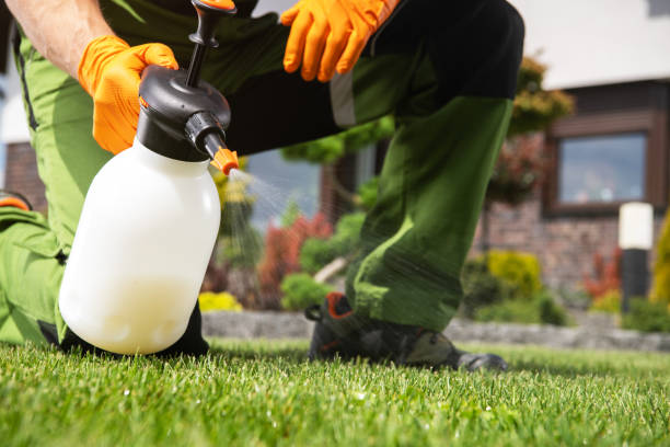 Best Residential Pest Control  in Greenville, GA