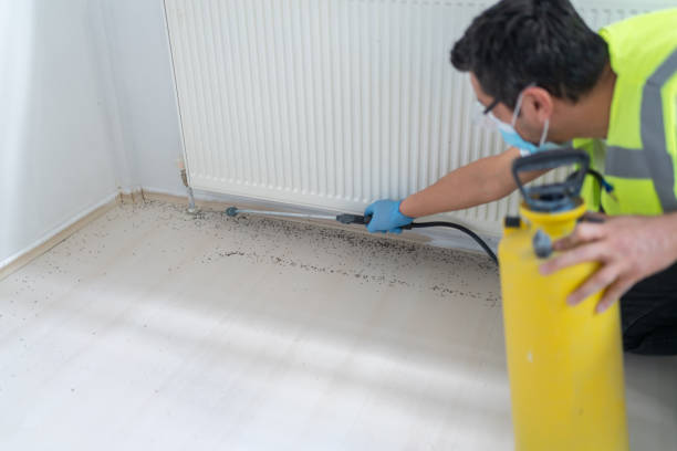 Best Termite Control Services  in Greenville, GA